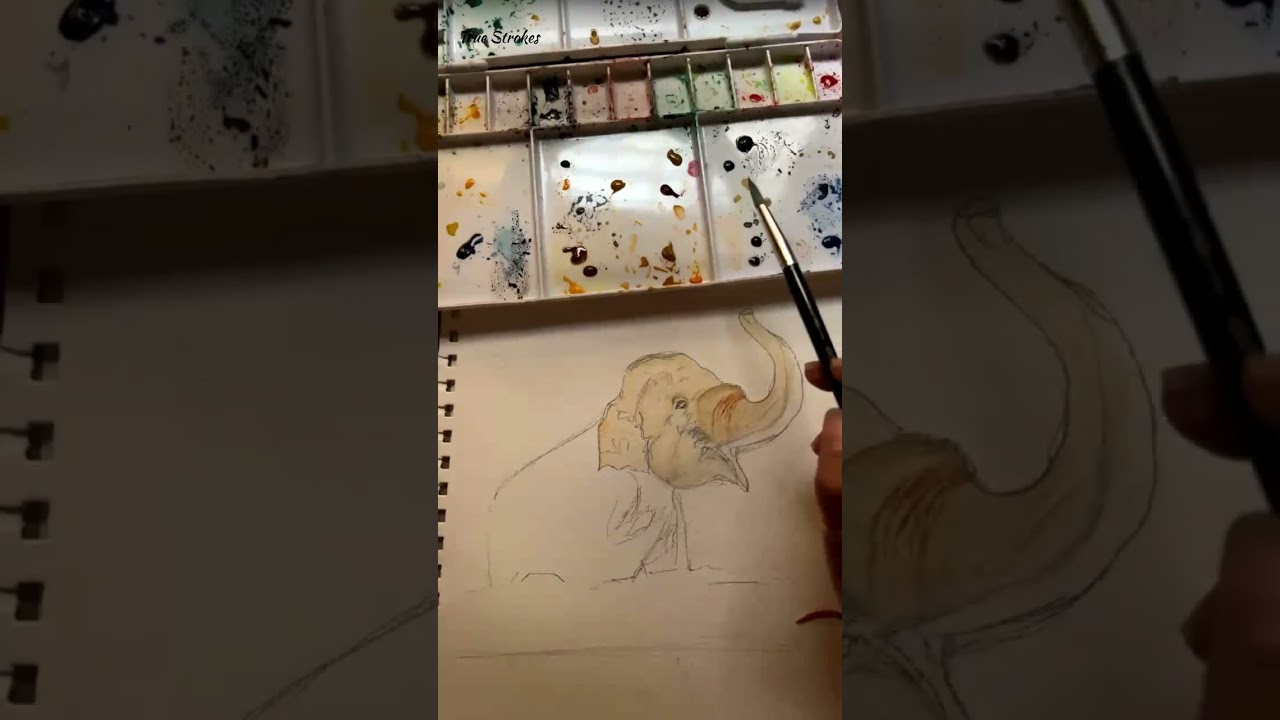 Elephant Watercolour